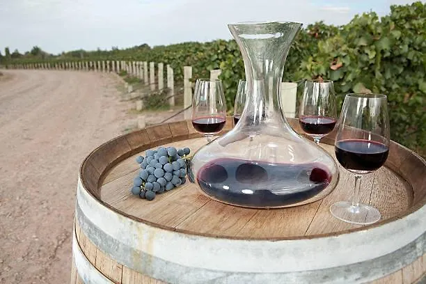 Apartamento Deluxe Senderos Del Vino I, Con Cochera Incluida, Desayuno Opcional Mendoza 0*,